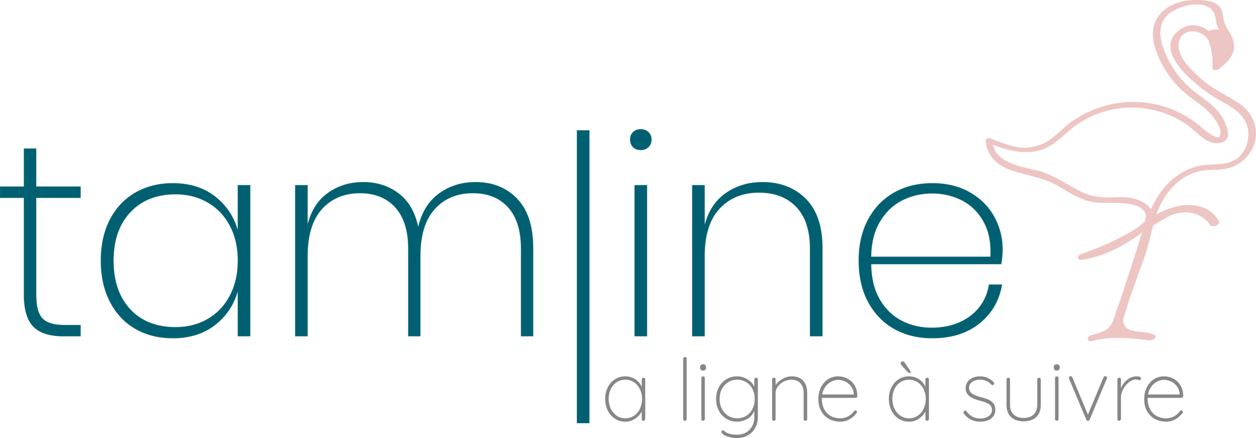 Logo de l'agence de communication tamline